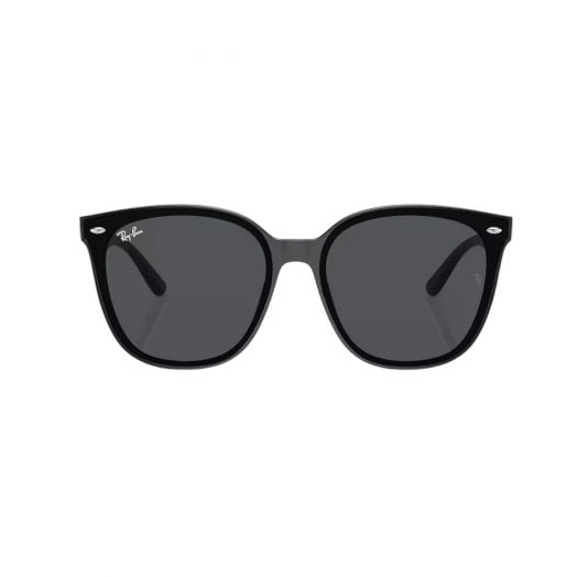 RAY-BAN 太陽眼鏡 RB4423D